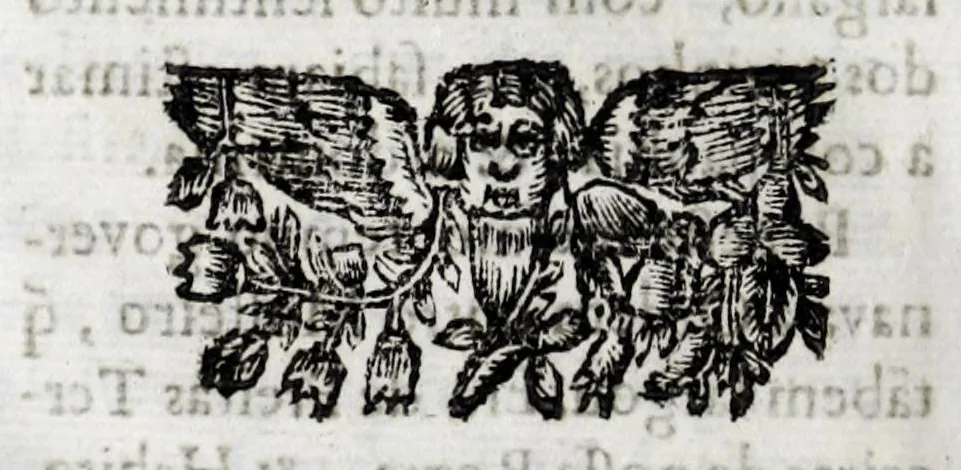 An illustration from Primeira[-quarta] parte da historia de S. Domingos : particular do reino e conquistas de Portugal, 1623, leaf 530