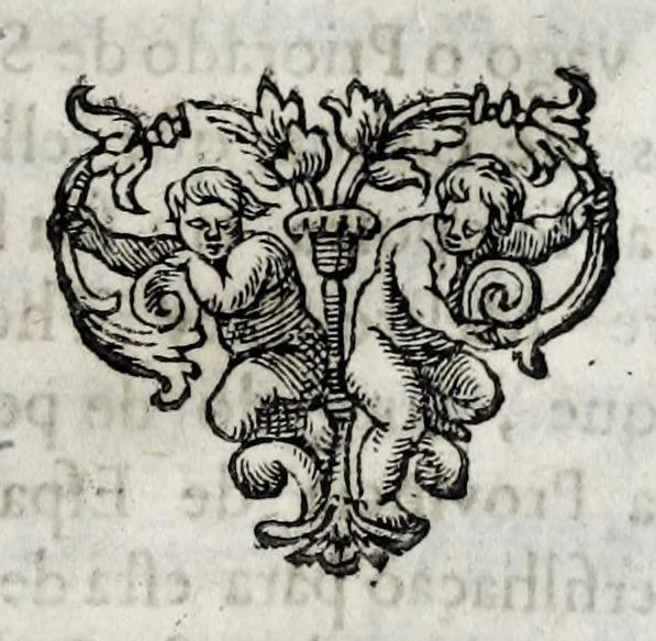 An illustration from Primeira[-quarta] parte da historia de S. Domingos : particular do reino e conquistas de Portugal, 1623, leaf 557
