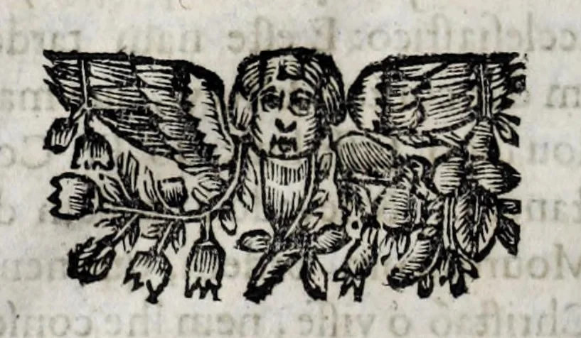 An illustration from Primeira[-quarta] parte da historia de S. Domingos : particular do reino e conquistas de Portugal, 1623, leaf 568