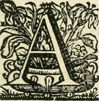 An illustration from Primeira[-segunda] parte da Historia ecclesiastica dos arcebispos de Braga, e dos santos, e varoes illustres, que florecerão neste arcebispado, 1634, leaf 124