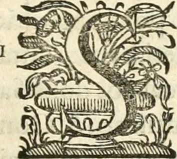 An illustration from Primeira[-segunda] parte da Historia ecclesiastica dos arcebispos de Braga, e dos santos, e varoes illustres, que florecerão neste arcebispado, 1634, leaf 198
