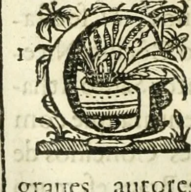 An illustration from Primeira[-segunda] parte da Historia ecclesiastica dos arcebispos de Braga, e dos santos, e varoes illustres, que florecerão neste arcebispado, 1634, leaf 211