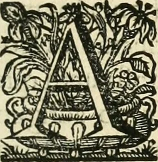 An illustration from Primeira[-segunda] parte da Historia ecclesiastica dos arcebispos de Braga, e dos santos, e varoes illustres, que florecerão neste arcebispado, 1634, leaf 22