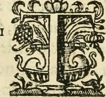 An illustration from Primeira[-segunda] parte da Historia ecclesiastica dos arcebispos de Braga, e dos santos, e varoes illustres, que florecerão neste arcebispado, 1634, leaf 223