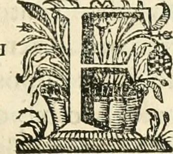 An illustration from Primeira[-segunda] parte da Historia ecclesiastica dos arcebispos de Braga, e dos santos, e varoes illustres, que florecerão neste arcebispado, 1634, leaf 230