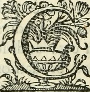 An illustration from Primeira[-segunda] parte da Historia ecclesiastica dos arcebispos de Braga, e dos santos, e varoes illustres, que florecerão neste arcebispado, 1634, leaf 299