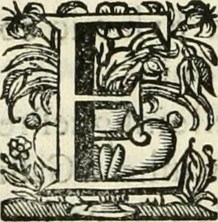 An illustration from Primeira[-segunda] parte da Historia ecclesiastica dos arcebispos de Braga, e dos santos, e varoes illustres, que florecerão neste arcebispado, 1634, leaf 305