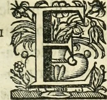 An illustration from Primeira[-segunda] parte da Historia ecclesiastica dos arcebispos de Braga, e dos santos, e varoes illustres, que florecerão neste arcebispado, 1634, leaf 322