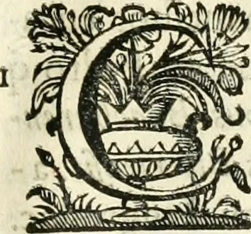 An illustration from Primeira[-segunda] parte da Historia ecclesiastica dos arcebispos de Braga, e dos santos, e varoes illustres, que florecerão neste arcebispado, 1634, leaf 356
