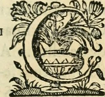 An illustration from Primeira[-segunda] parte da Historia ecclesiastica dos arcebispos de Braga, e dos santos, e varoes illustres, que florecerão neste arcebispado, 1634, leaf 420