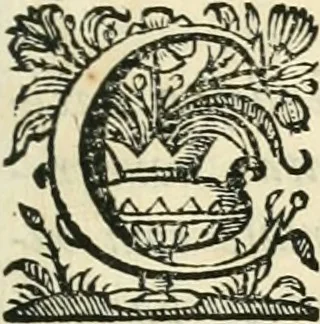 An illustration from Primeira[-segunda] parte da Historia ecclesiastica dos arcebispos de Braga, e dos santos, e varoes illustres, que florecerão neste arcebispado, 1634, leaf 484