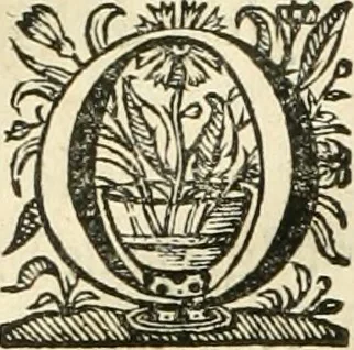 An illustration from Primeira[-segunda] parte da Historia ecclesiastica dos arcebispos de Braga, e dos santos, e varoes illustres, que florecerão neste arcebispado, 1634, leaf 77