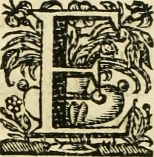 An illustration from Primeira[-segunda] parte da Historia ecclesiastica dos arcebispos de Braga, e dos santos, e varoes illustres, que florecerão neste arcebispado, 1634, leaf 81