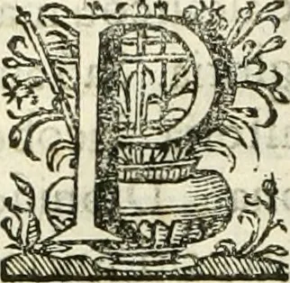 An illustration from Primeira[-segunda] parte da Historia ecclesiastica dos arcebispos de Braga, e dos santos, e varoes illustres, que florecerão neste arcebispado, 1634, leaf 97