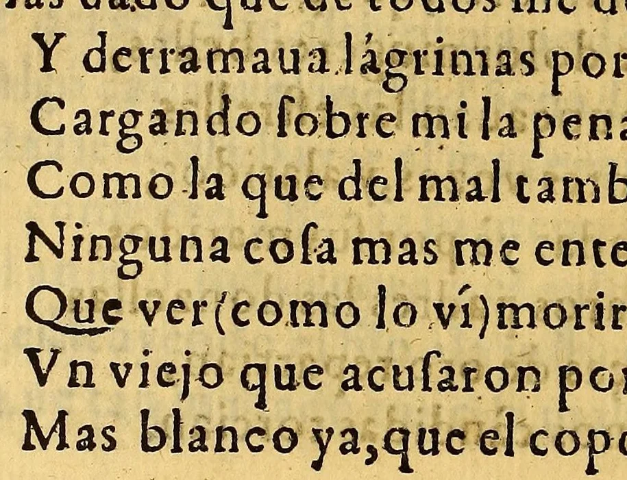 An illustration from Primera parte de Arauco domado, compuesto por el licenciado Pedro de Oña. .., 1596, leaf 596