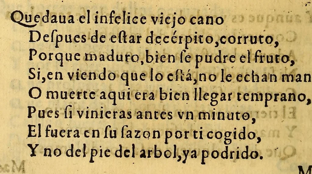 An illustration from Primera parte de Arauco domado, compuesto por el licenciado Pedro de Oña. .., 1596, leaf 596