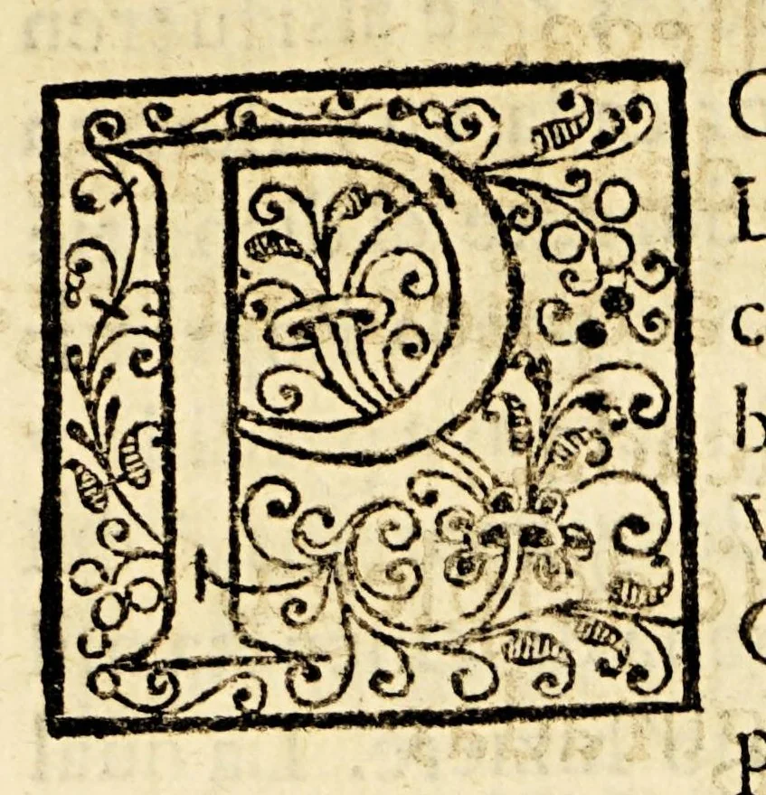An illustration from Primera parte de Cortés Valeroso, y Mexicana, de Gabriel Lasso de la Vega ., 1588, leaf 411