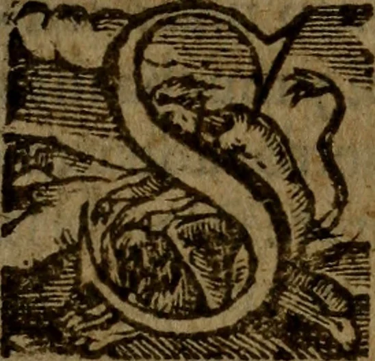An illustration from Primera parte de Gvzman de Alfarache,, 1600, leaf 262