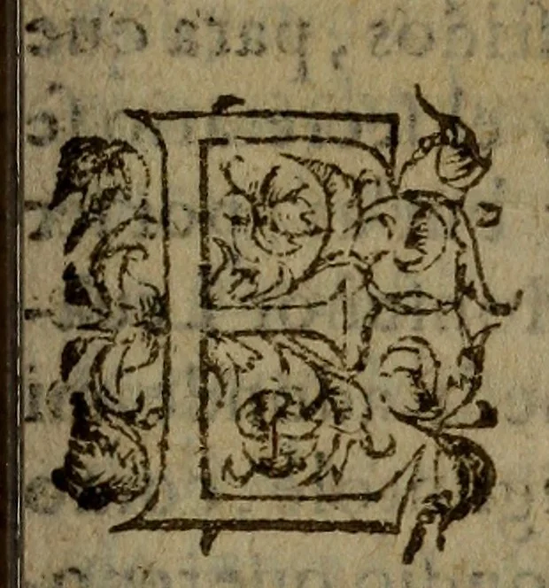 An illustration from Primera parte de Gvzman de Alfarache,, 1600, leaf 512