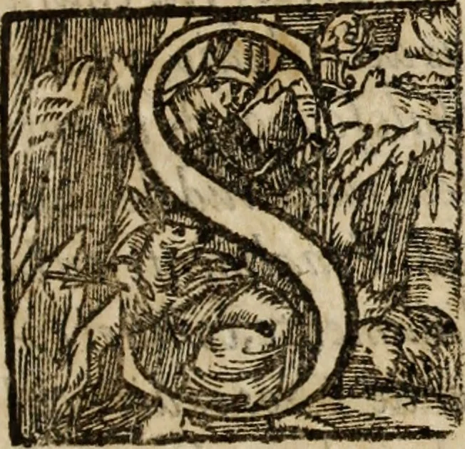 An illustration from Primera parte de las demostraciones católicas y principios en q<ue> se funda la verdad de nuestra christiana religión, 1593, leaf 14