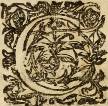 An illustration from Primera parte de las demostraciones católicas y principios en q<ue> se funda la verdad de nuestra christiana religión, 1593, leaf 17