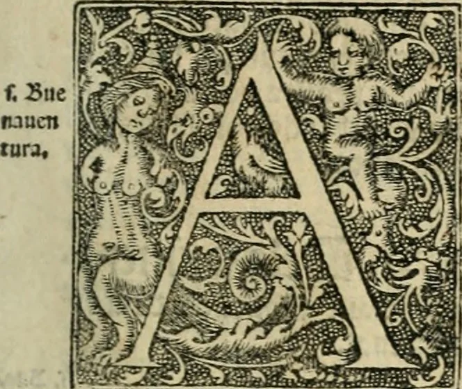 An illustration from Primera parte de las Cronicas de la orden de los frayles menores del seraphico padre Sant Francisco, instituydor y primero ministro general, que se puede llamar vitas patrum de los menores .., 1563, leaf 20