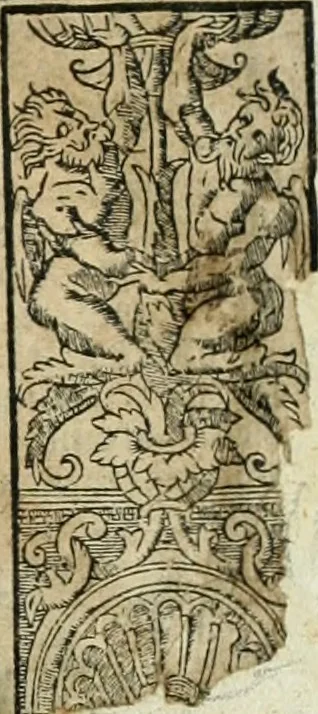 An illustration from Primera parte de las Cronicas de la orden de los frayles menores del seraphico padre Sant Francisco, instituydor y primero ministro general, que se puede llamar vitas patrum de los menores .., 1563, leaf 4