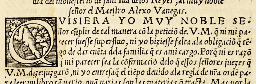 An illustration from Primera parte de las diferencias de libros q[ue] ay en el vniuerso., 1540, leaf 14