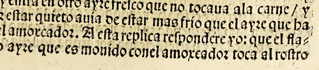 An illustration from Primera parte de las diferencias de libros q[ue] ay en el vniuerso., 1540, leaf 179