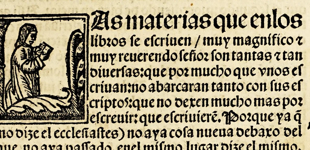 An illustration from Primera parte de las diferencias de libros q[ue] ay en el vniuerso., 1540, leaf 21