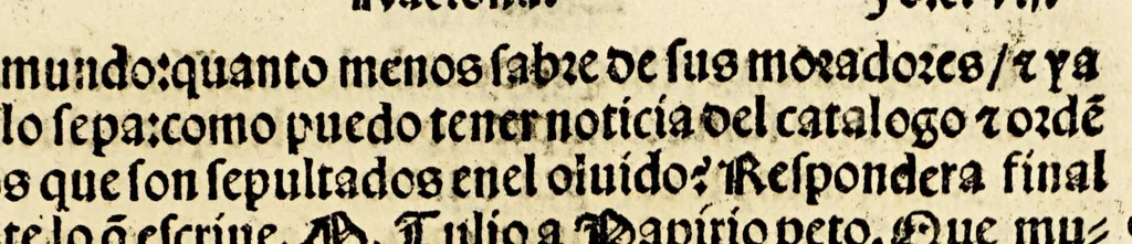 An illustration from Primera parte de las diferencias de libros q[ue] ay en el vniuerso., 1540, leaf 333