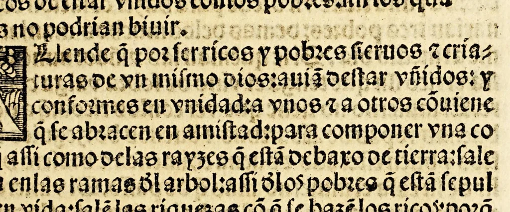 An illustration from Primera parte de las diferencias de libros q[ue] ay en el vniuerso., 1540, leaf 355