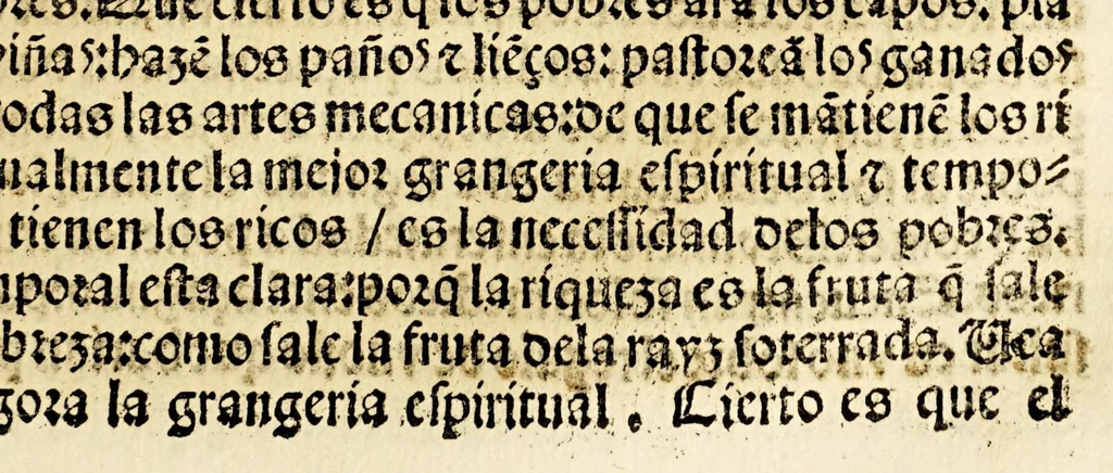 An illustration from Primera parte de las diferencias de libros q[ue] ay en el vniuerso., 1540, leaf 355