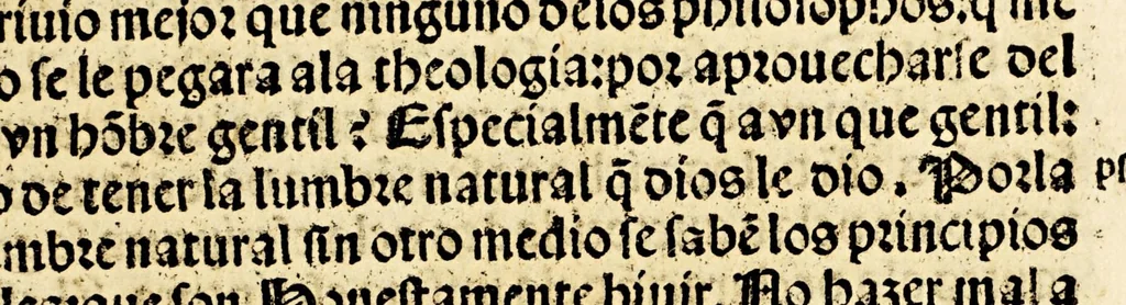 An illustration from Primera parte de las diferencias de libros q[ue] ay en el vniuerso., 1540, leaf 457