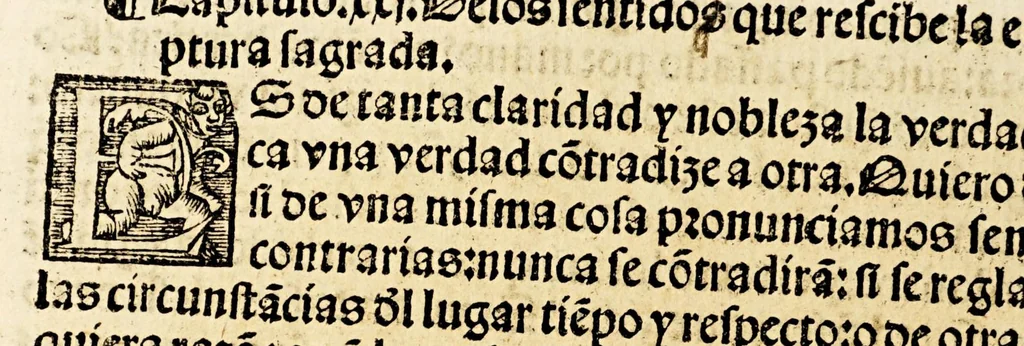 An illustration from Primera parte de las diferencias de libros q[ue] ay en el vniuerso., 1540, leaf 486