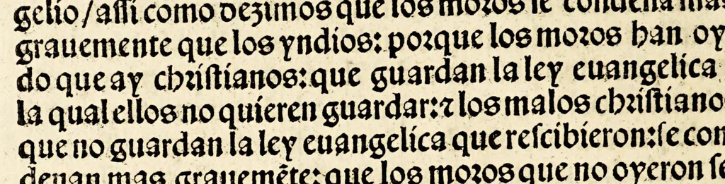 An illustration from Primera parte de las diferencias de libros q[ue] ay en el vniuerso., 1540, leaf 54