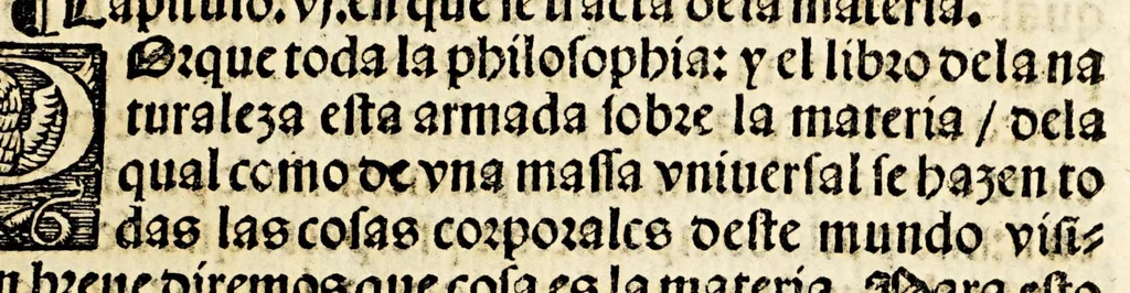 An illustration from Primera parte de las diferencias de libros q[ue] ay en el vniuerso., 1540, leaf 97