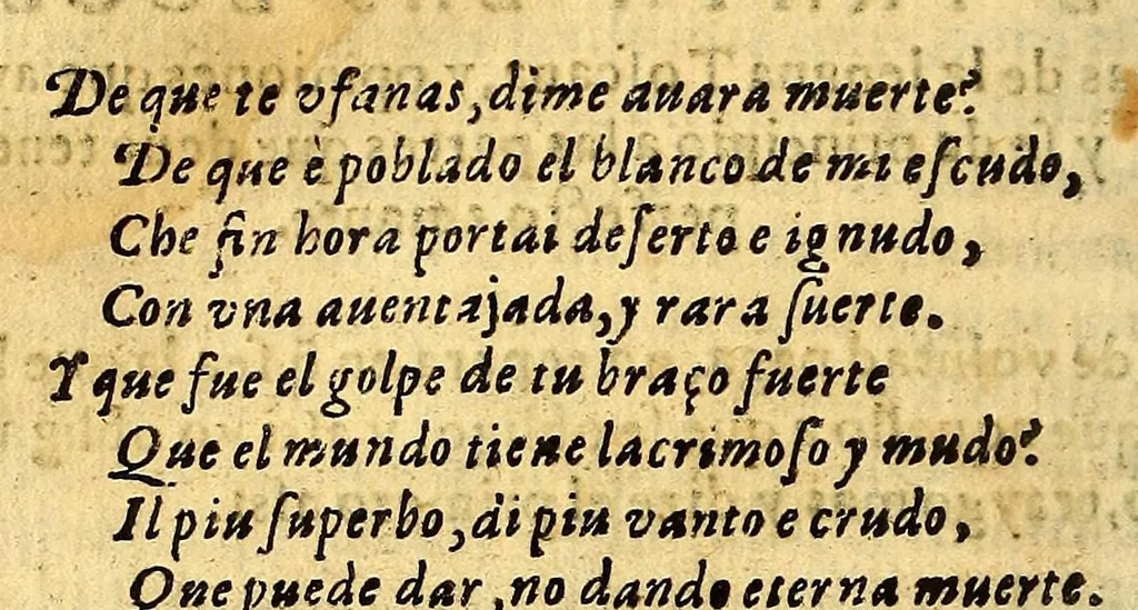 An illustration from Primera parte de la miscelanea austral, 1602, leaf 144