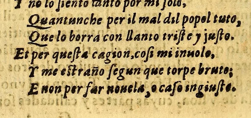 An illustration from Primera parte de la miscelanea austral, 1602, leaf 144