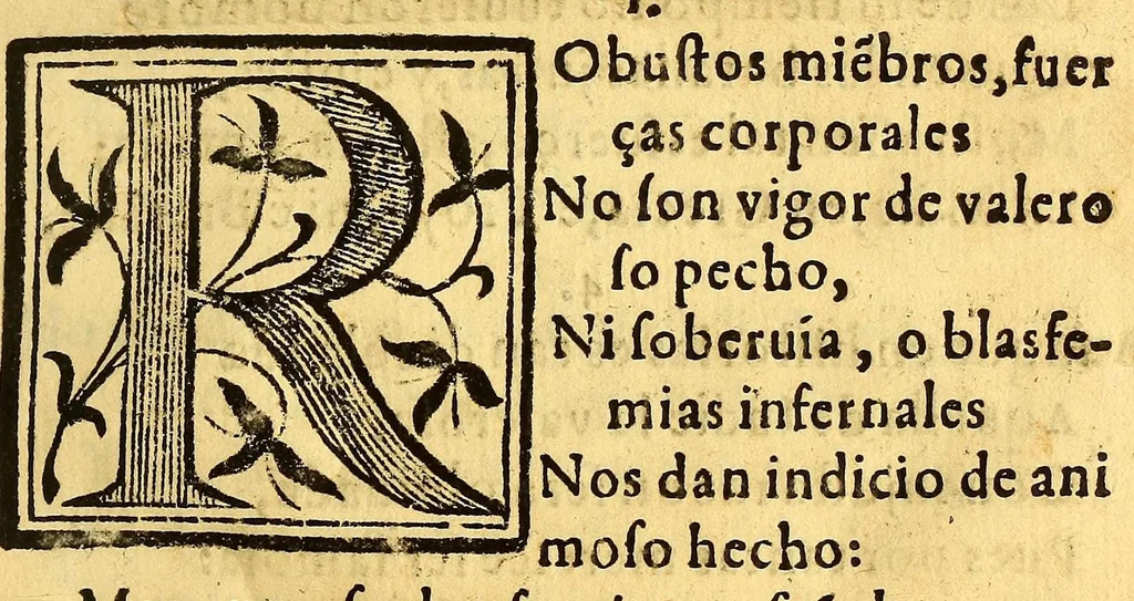An illustration from Primera parte de la miscelanea austral, 1602, leaf 577