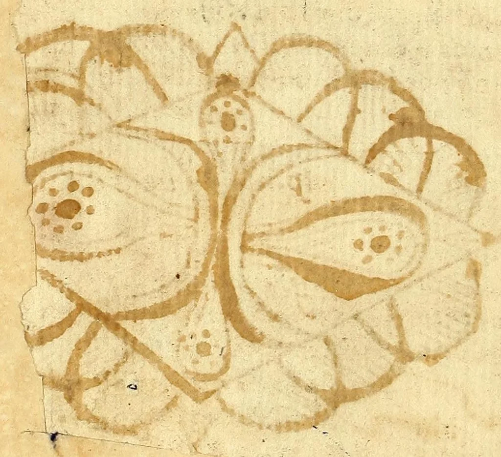 An illustration from Primera parte de la miscelanea austral, 1602, leaf 6