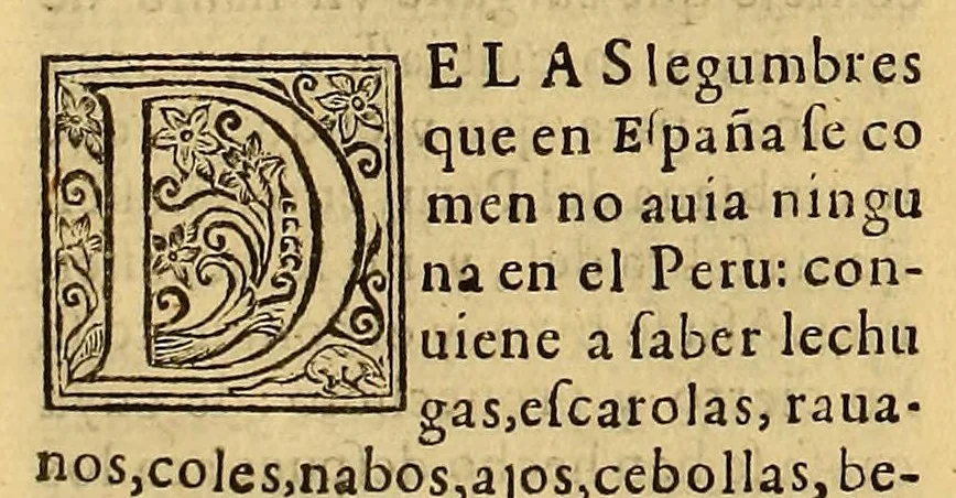 An illustration from Primera parte de los commentarios reales, : que tratan del origen de los Yncas, reyes que fueron del Peru, de su idolatria, leyes, y gouierno en paz y en guerra: de sus vidas y conquistas, y de todo lo que fue aquel imperio y su republica, antes que los españoles passaran a el., 1609, leaf 532