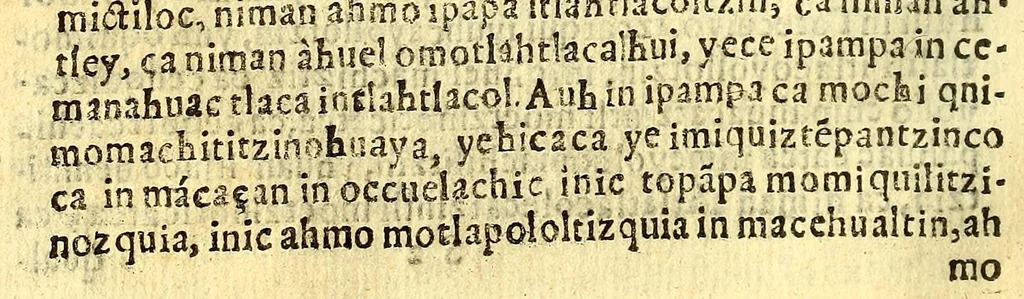 An illustration from Primera parte del Sermonario, dominical, y sanctoral, en lengua mexicana. : Contiene las dominicas, que ay desde la septuagesima, hasta la vltima de penthecostes, platica para los que comulgan el iueues sancto, y sermon de passion, pasqua de resurreccion, y del espirirusanto [sic], con tres sermosnes [sic] del sanctissimo sacrame[n]to., 1624, leaf 164