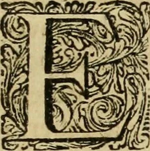 An illustration from Primera[-segunda] decada de las guerras de Flandes ..., 1681, leaf 36