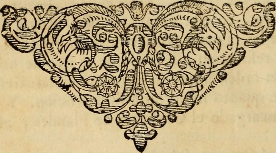 An illustration from Primera[-segunda] decada de las guerras de Flandes ..., 1681, leaf 187