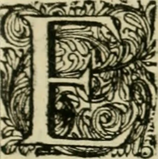 An illustration from Primera[-segunda] decada de las guerras de Flandes ..., 1681, leaf 252
