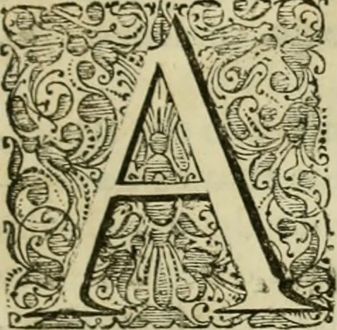 An illustration from Primera[-segunda] decada de las guerras de Flandes ..., 1681, leaf 30