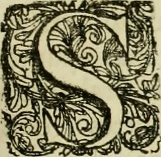 An illustration from Primera[-segunda] decada de las guerras de Flandes ..., 1681, leaf 322