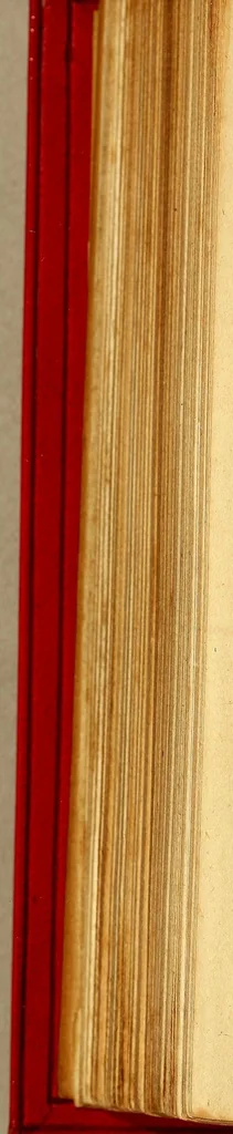 An illustration from Primera segunda, y tercera partes de la Araucana de don Alonso de Ercilla y Cuñiga ., 1592, leaf 434