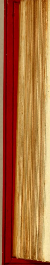 An illustration from Primera segunda, y tercera partes de la Araucana de don Alonso de Ercilla y Cuñiga ., 1592, leaf 516